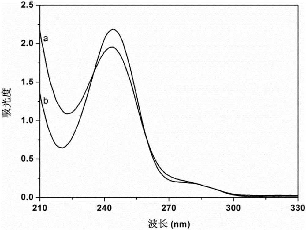 Water-based subject and object body type photoinitiator and preparation method thereof