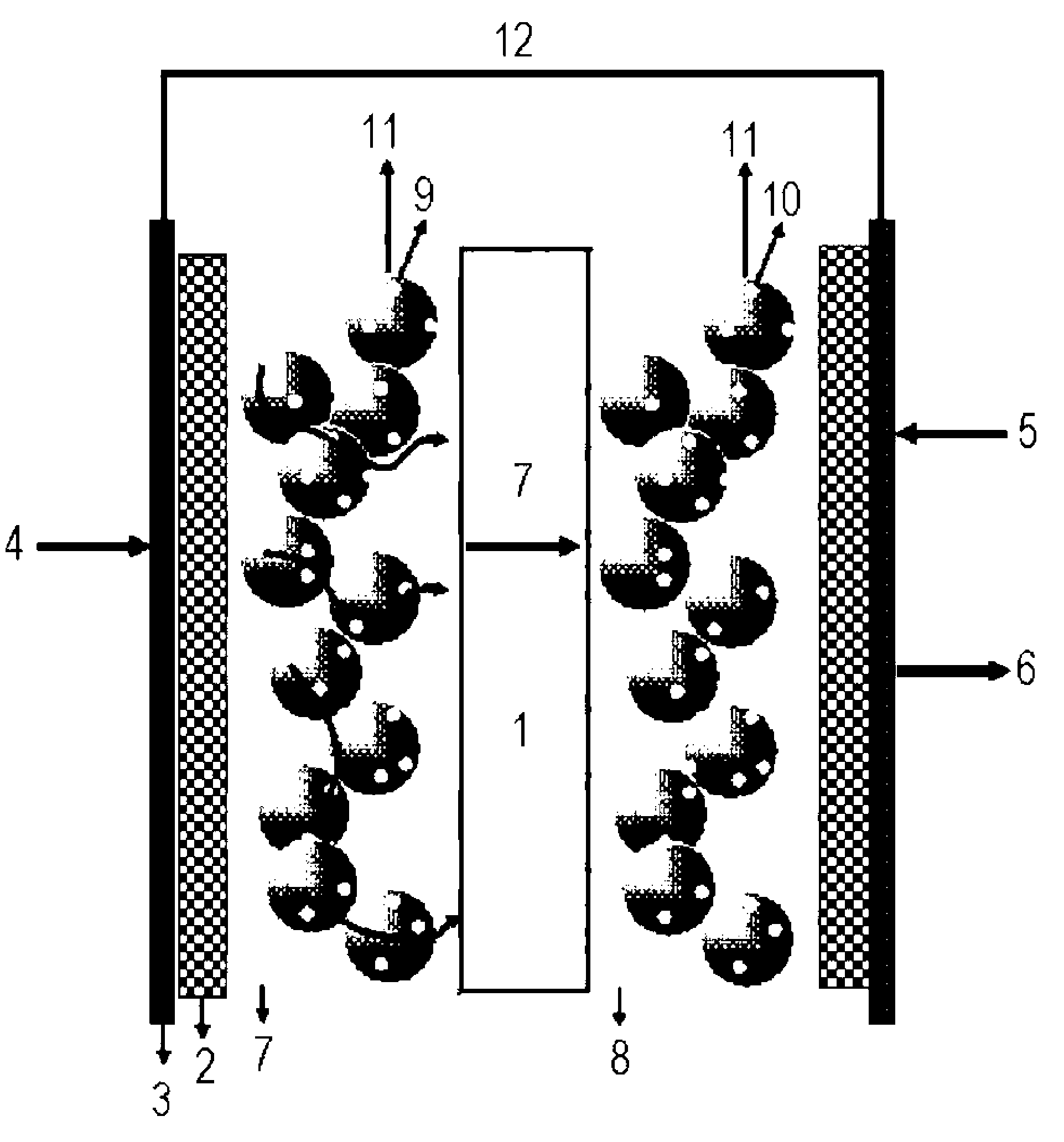 Proton exchange polymer membrane using surface treatment technique based on direct fluorination, membrane-electrode assembly, and fuel cell comprising the same