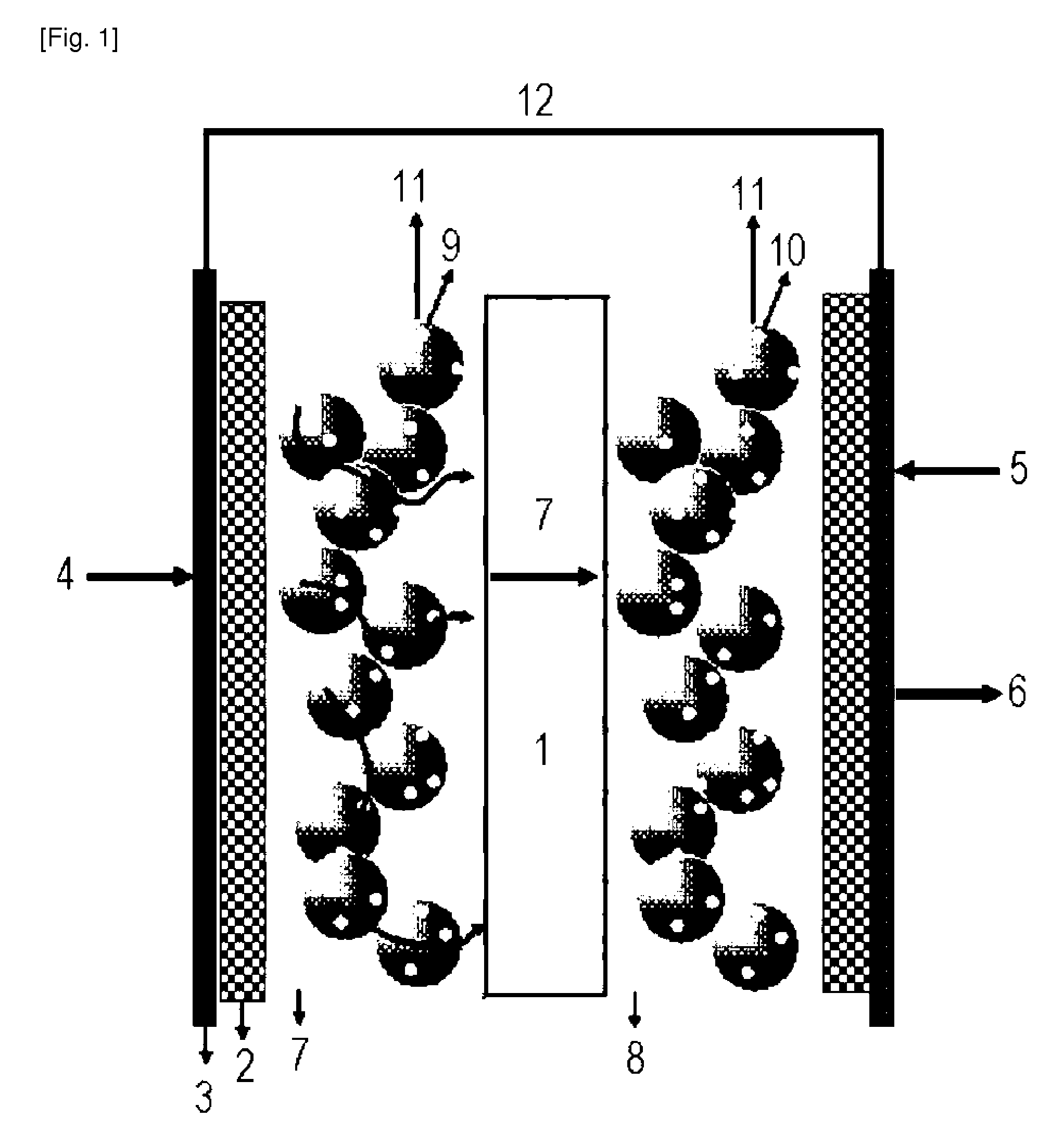 Proton exchange polymer membrane using surface treatment technique based on direct fluorination, membrane-electrode assembly, and fuel cell comprising the same