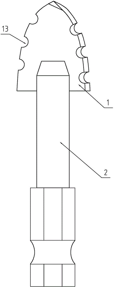 Drill blade and drill