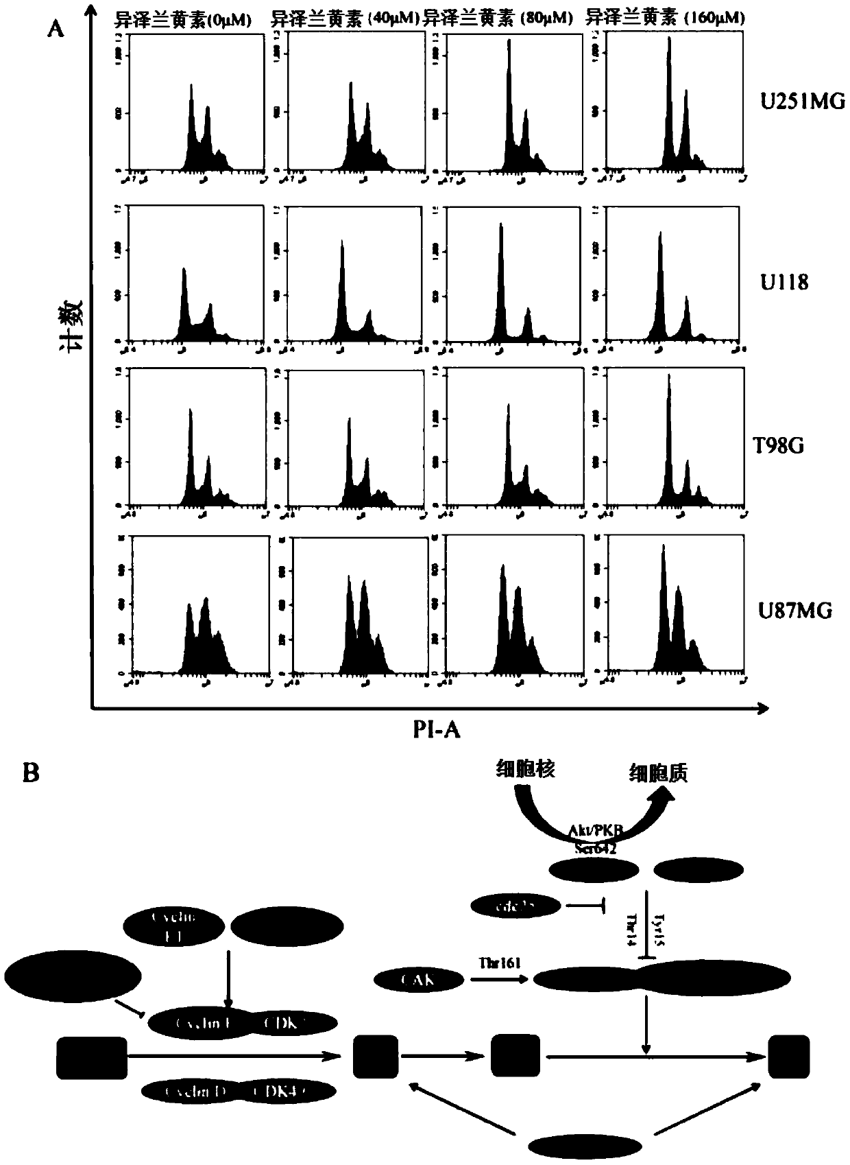 Application of eupatilin in preparing drug for treating or preventing glioma