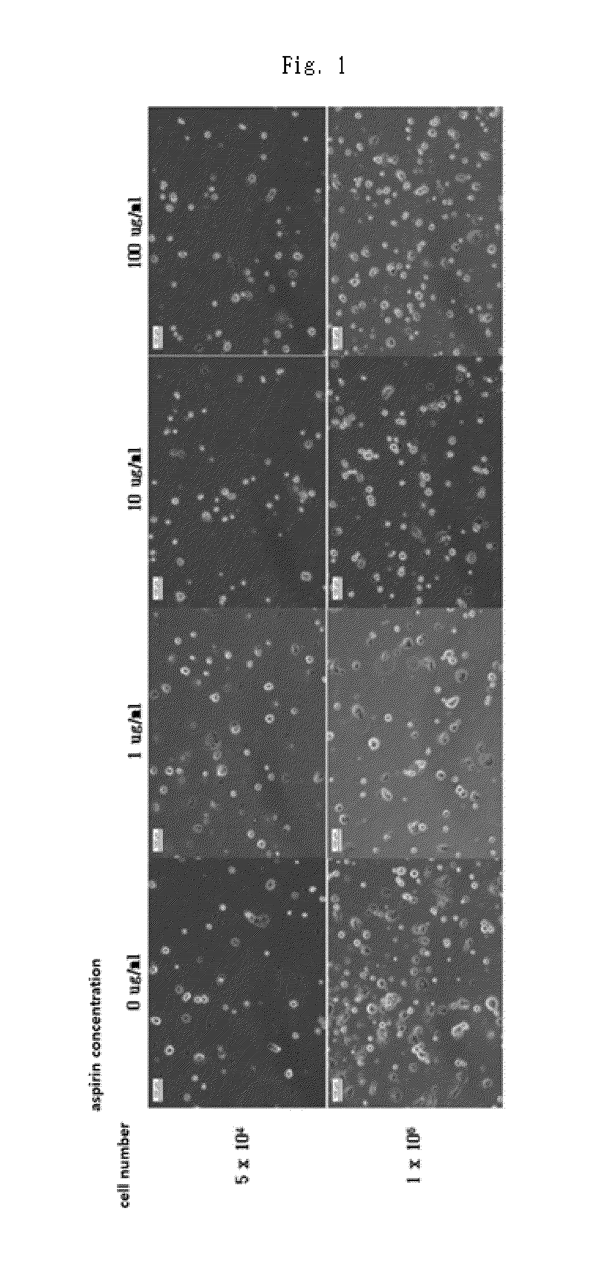 Method and composition for preventing stem cell disruption and aggregation