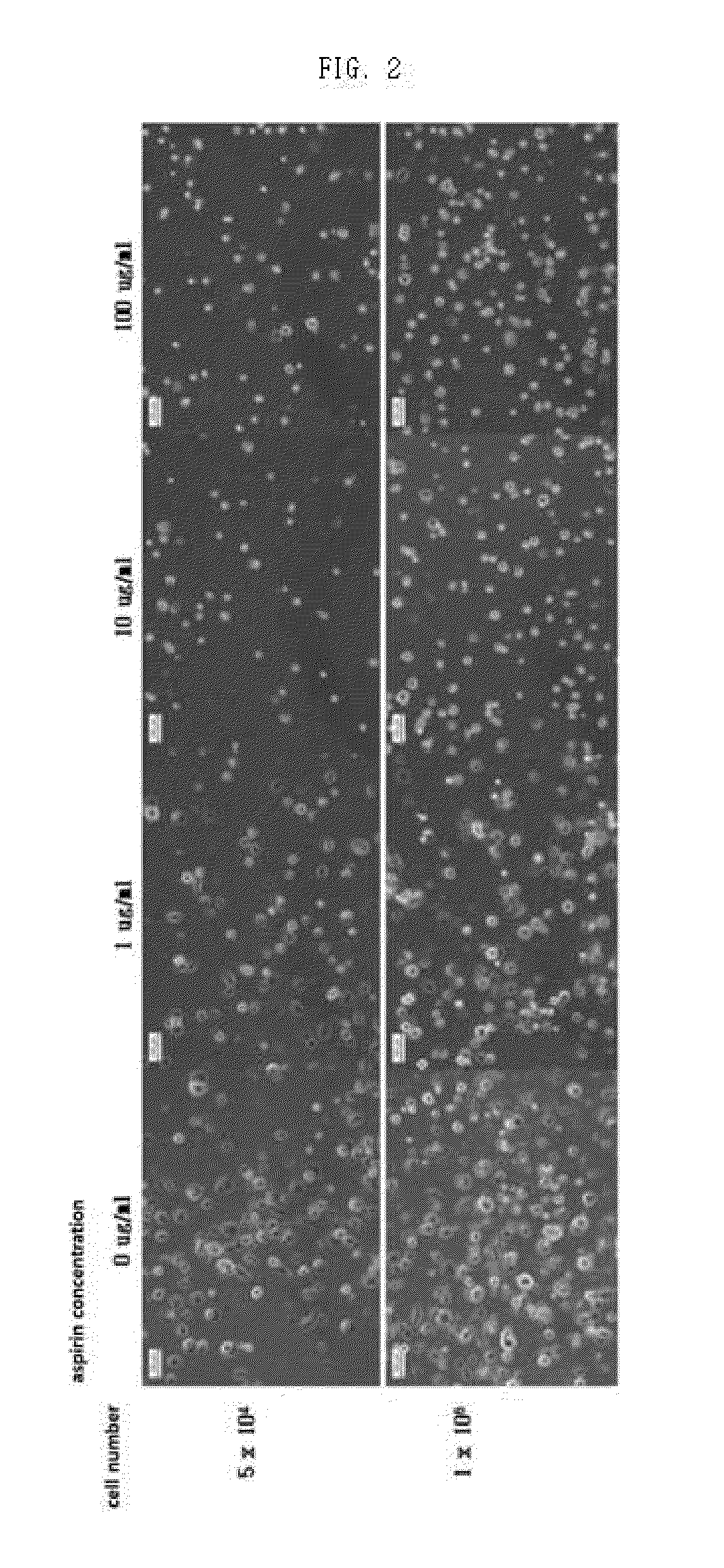 Method and composition for preventing stem cell disruption and aggregation