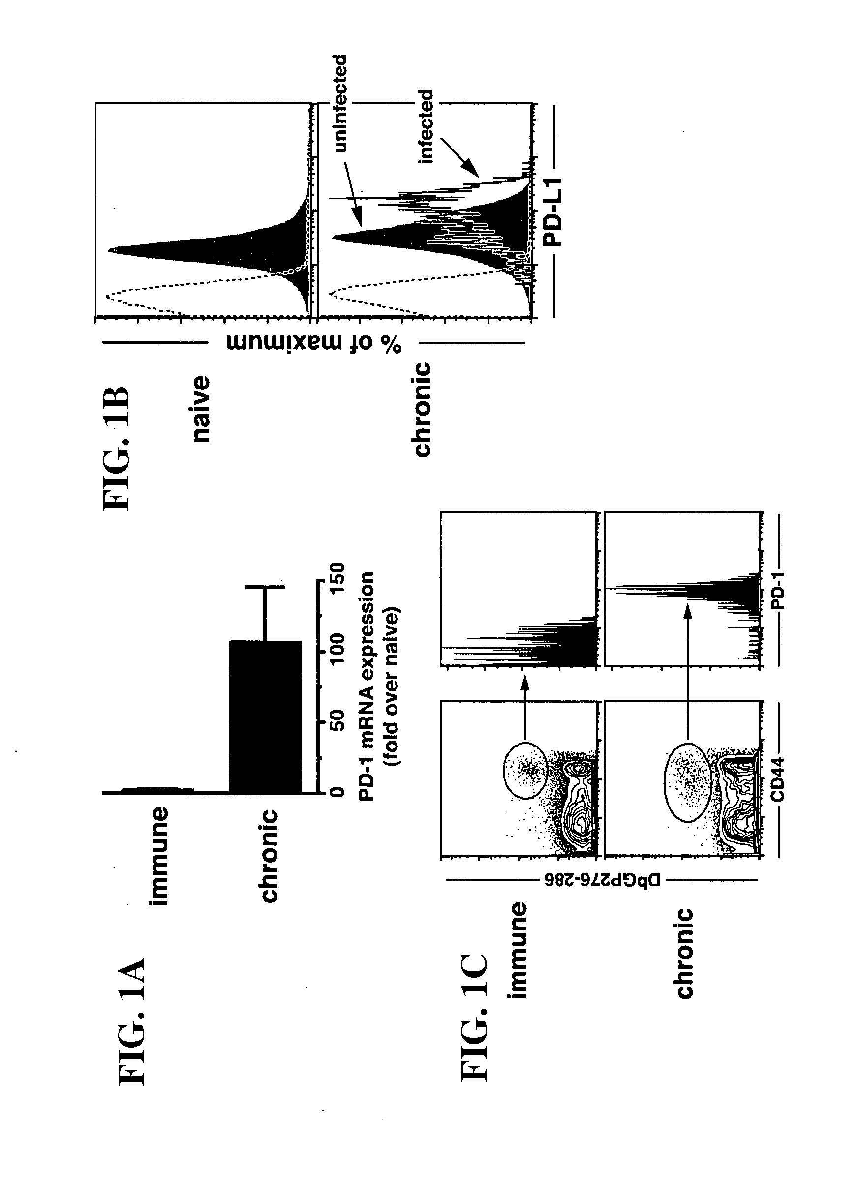 Methods and compositions for the treatment of persistent infections and cancer by inhibiting the programmed cell death 1 (pd-1) pathway