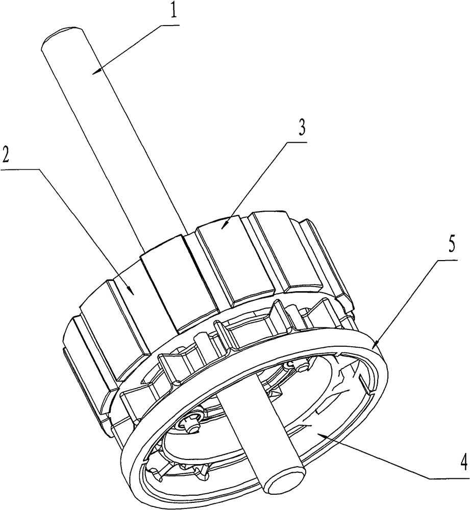 Motor rotor system