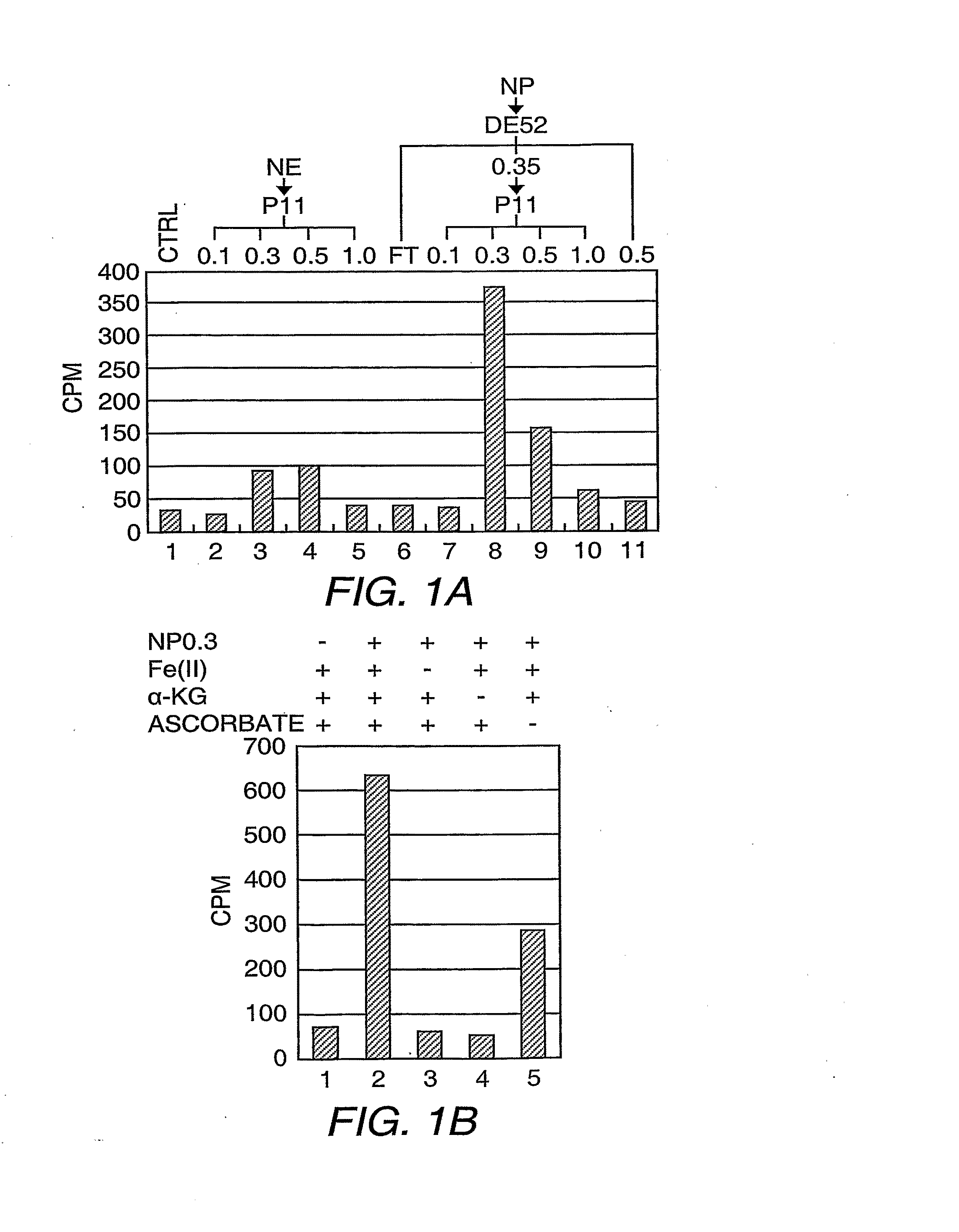 Protein Demethylases Comprising a JMJC Domain