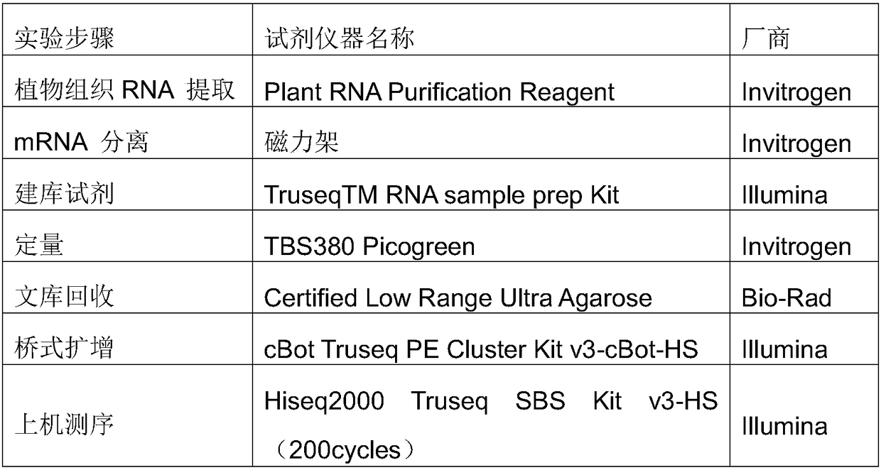 Method for obtaining transcriptome and functional genes of blumea balsamifera