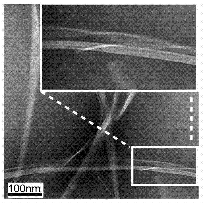 A gene vaccine carrier, its preparation method and application