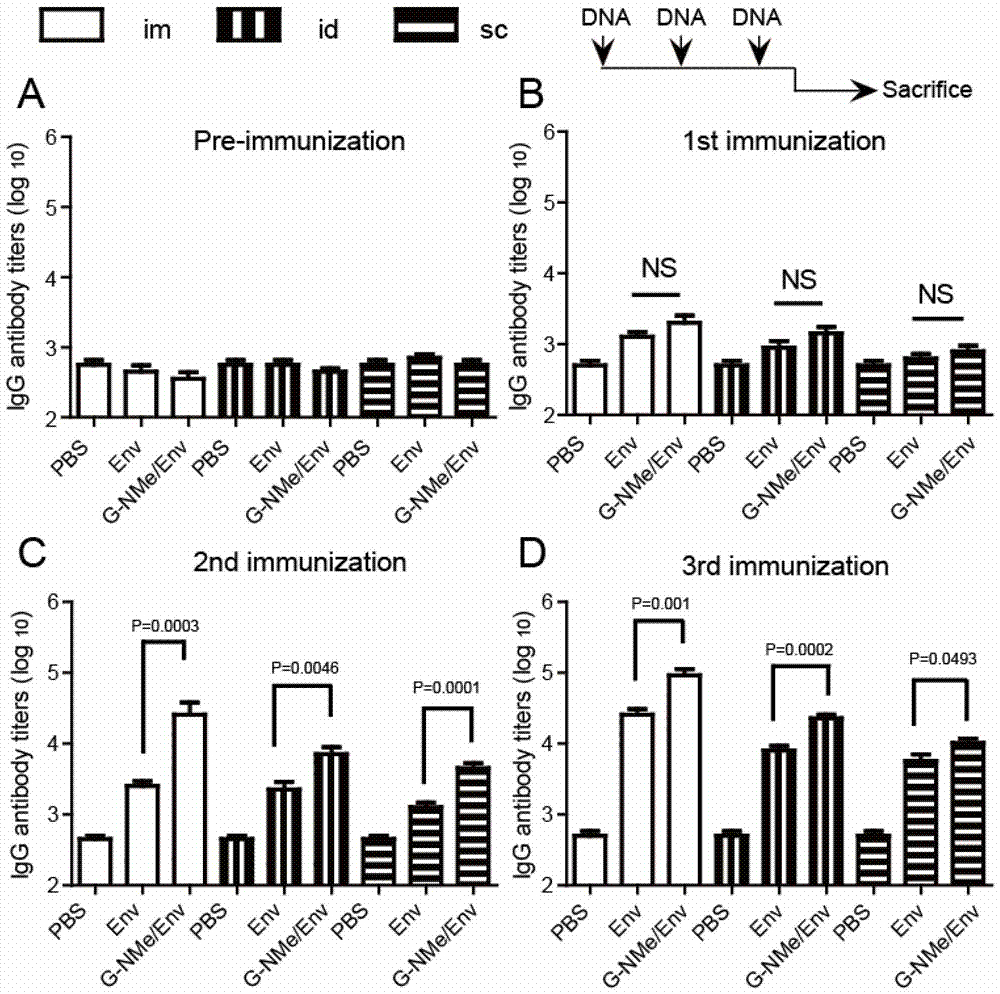 A gene vaccine carrier, its preparation method and application