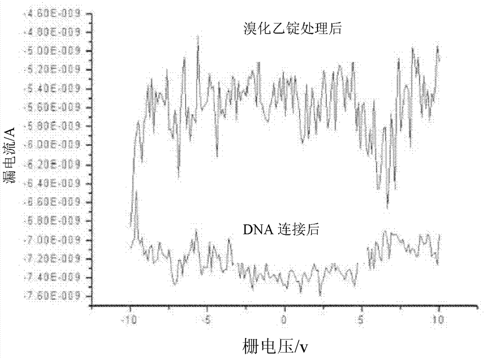 Method for detecting small organic biological molecules with graphene electrode-based molecular device
