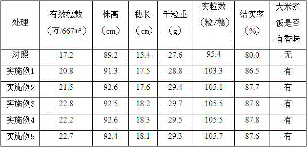 Fragrant black rice liquid fertilizer