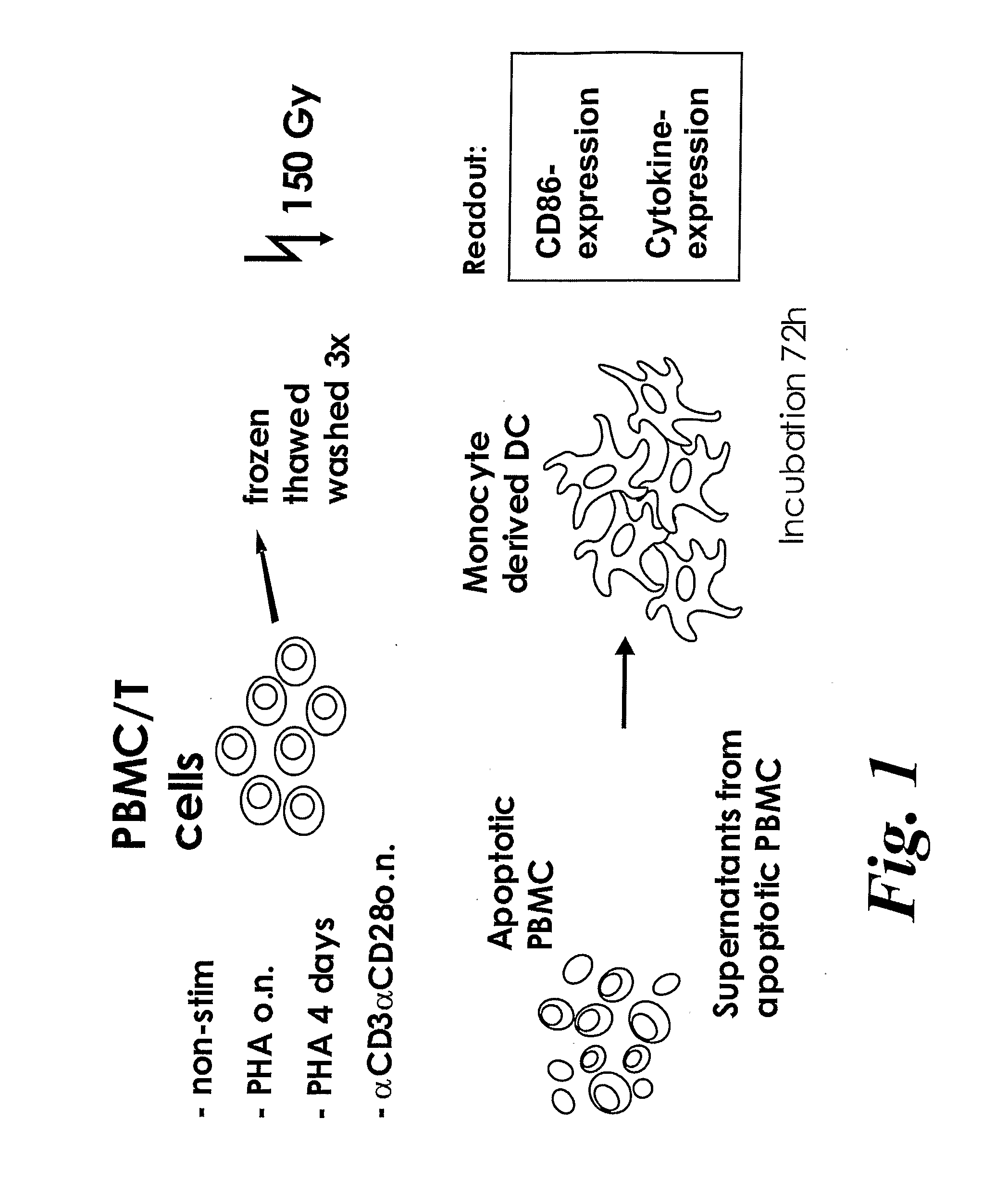 Novel Compositions and Uses Thereof
