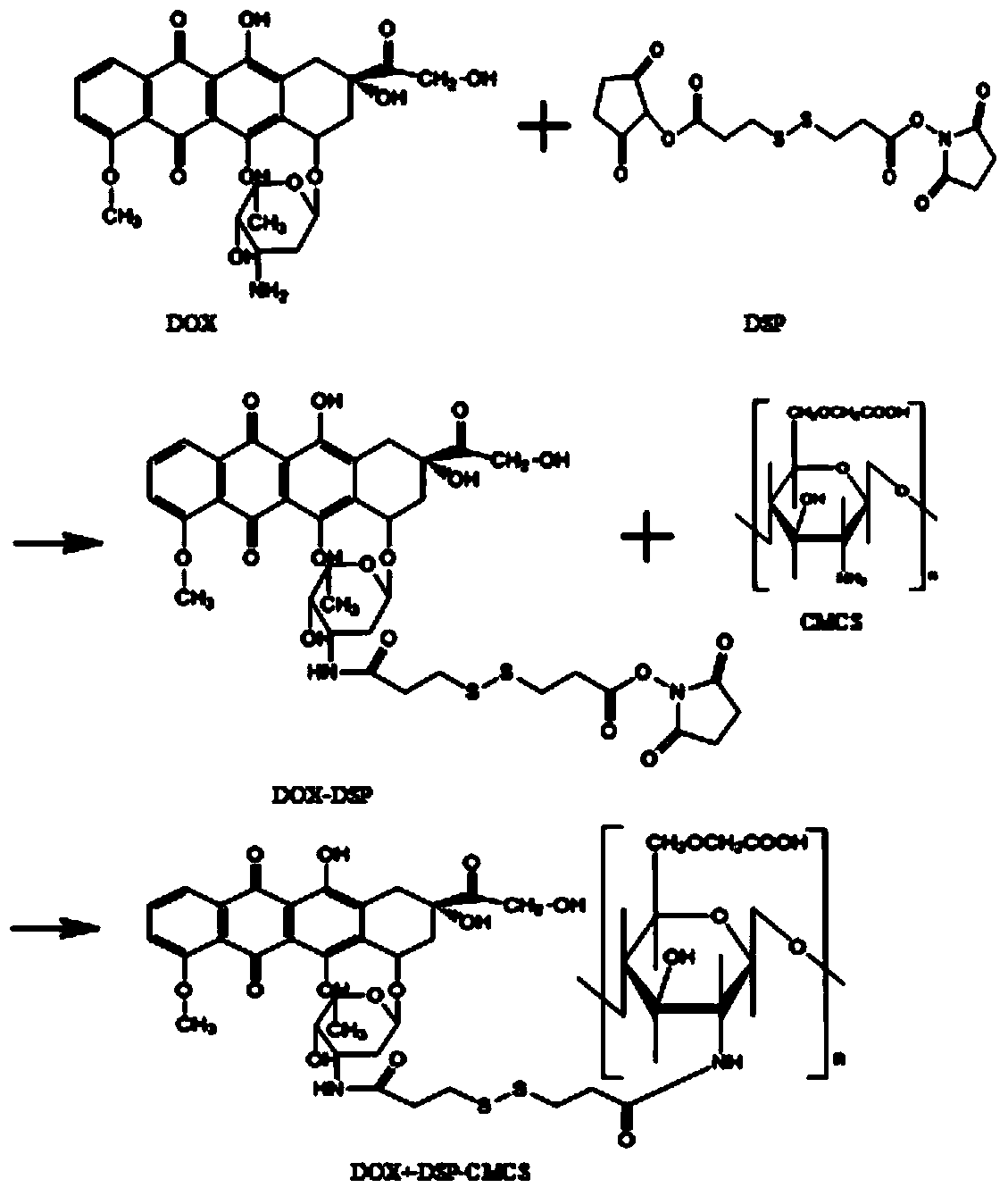 An environment-responsive tumor-targeted drug delivery system