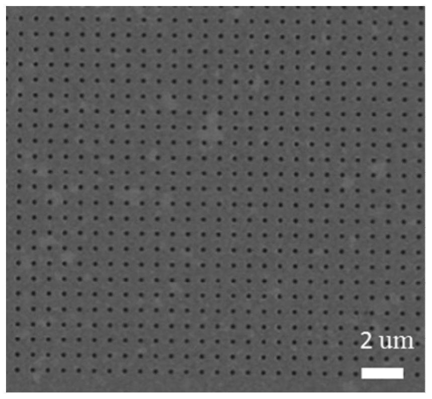 A gold nanopore array-based surface-enhanced Raman scattering detection method for DNA methylation and its application