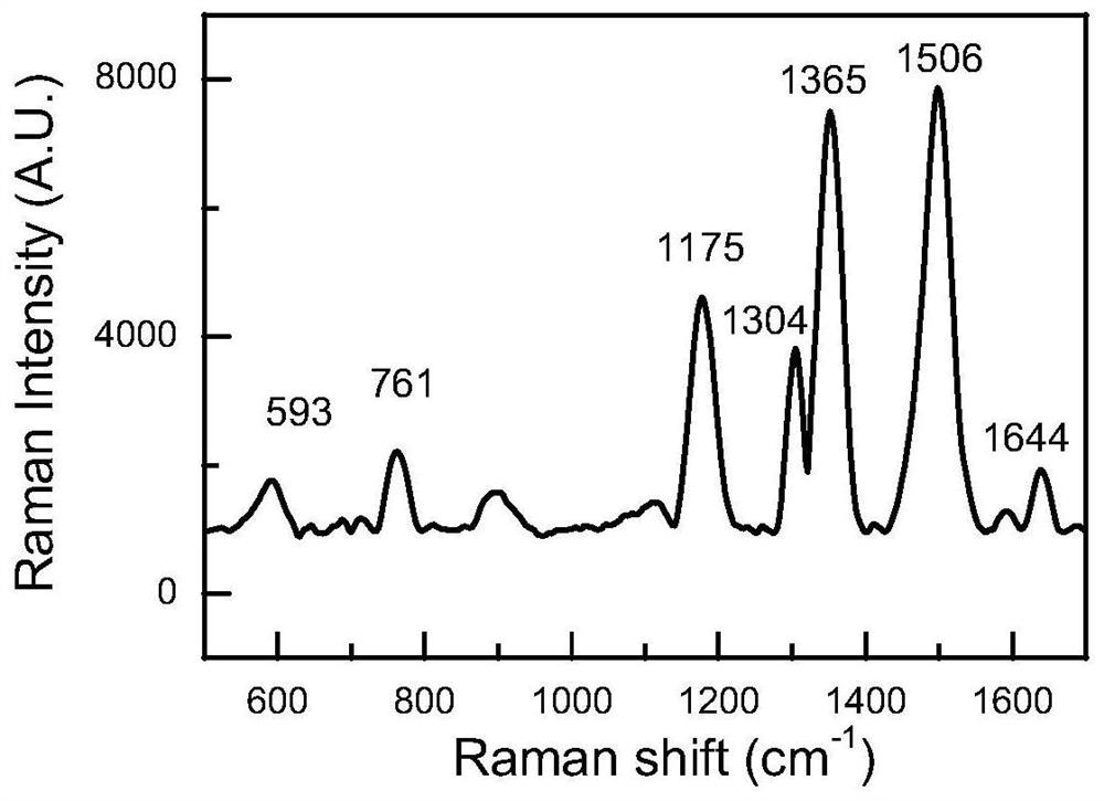 A gold nanopore array-based surface-enhanced Raman scattering detection method for DNA methylation and its application