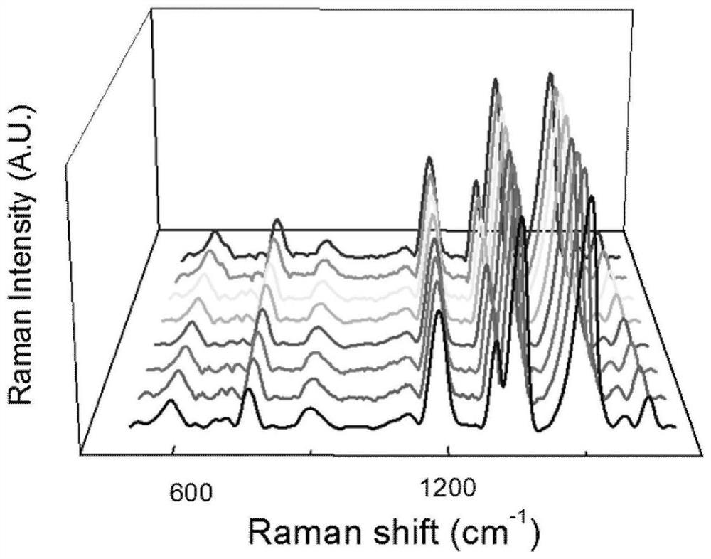 A gold nanopore array-based surface-enhanced Raman scattering detection method for DNA methylation and its application