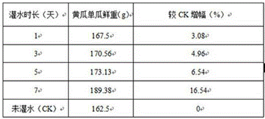 Rotation cropping method for increasing yield of later crop cucumbers on conditions of greenhouse soil continuous cropping