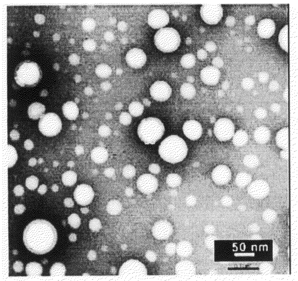 Poly (epsilon-caprolactone-co-methylmethacrylate), method for preparing the same using super critical fluid, and method for preparing therapeutic agent for skin diseases such as acne, atopy and athlete's foot comprising the same