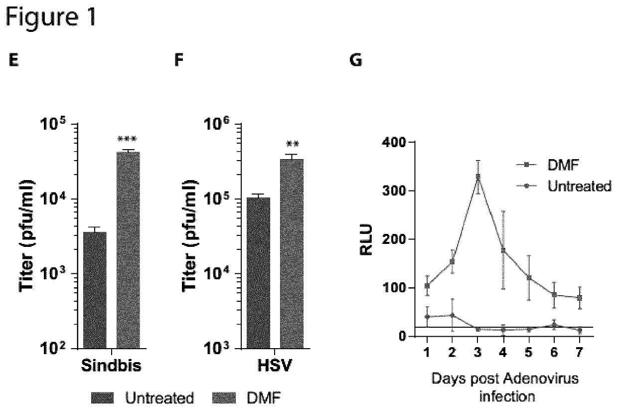 Compositions And Methods for Enhancing Production, Growth, Spread, or Oncolytic and Immunotherapeutic Efficacy of Interferon-Sensitive Viruses
