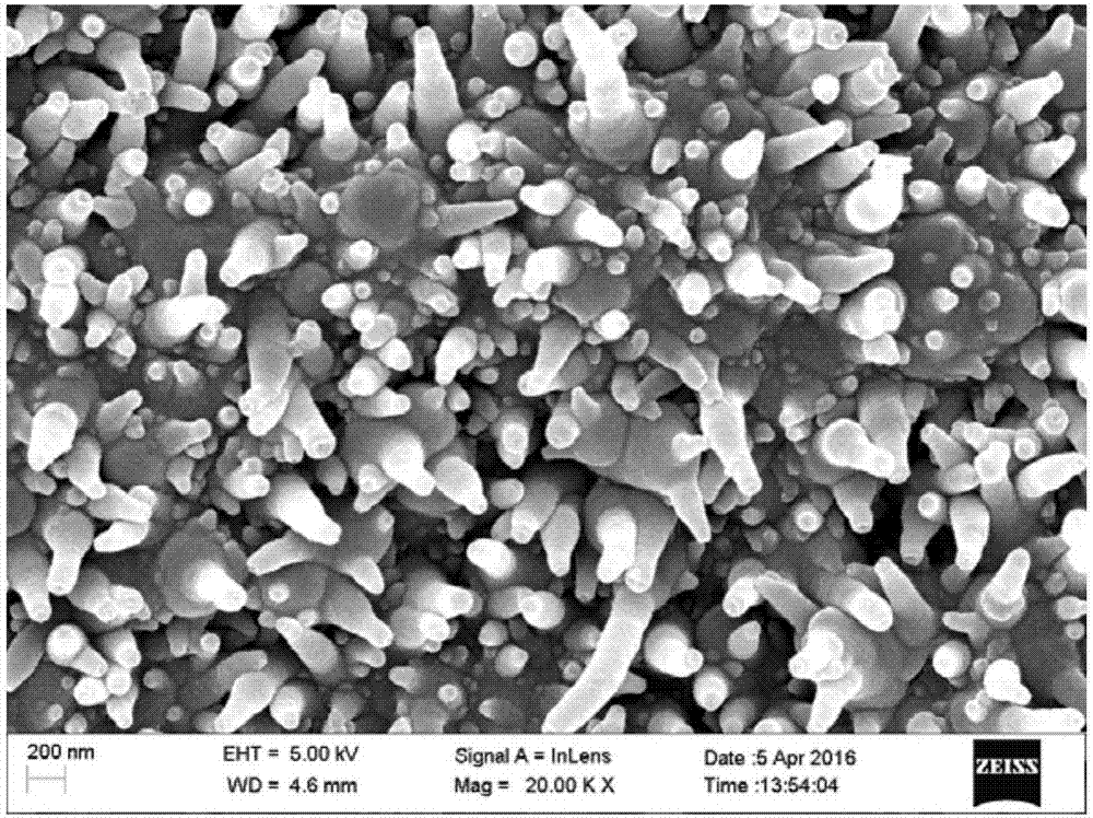 Nano-structure polypyrrole/biotin composite material based on conductive base material, preparation method and application