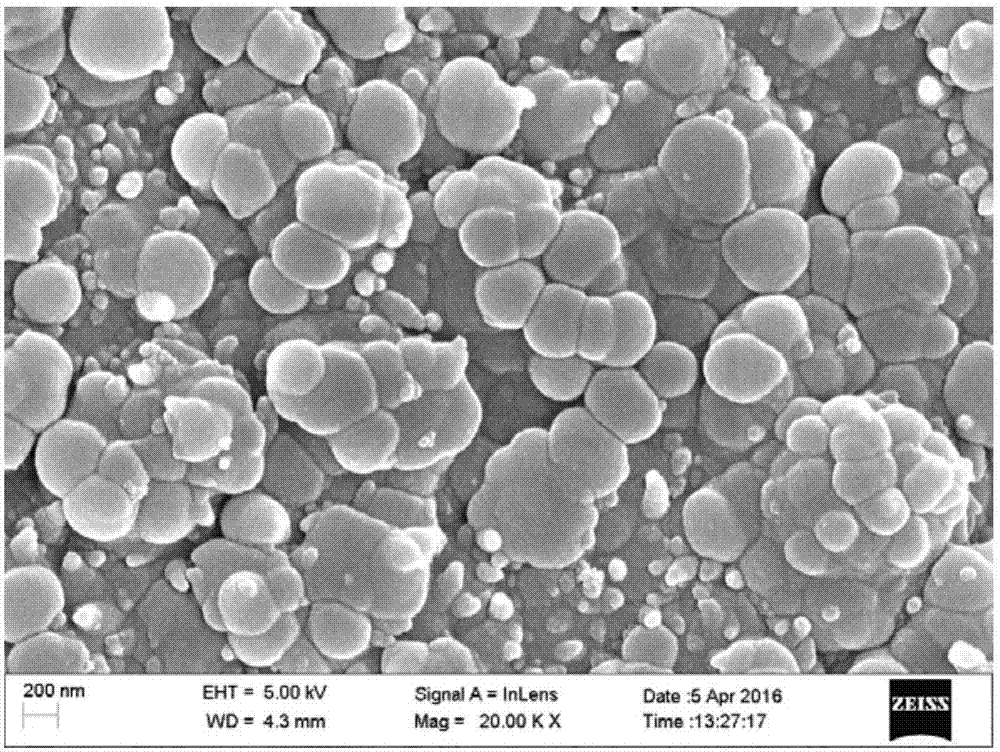 Nano-structure polypyrrole/biotin composite material based on conductive base material, preparation method and application
