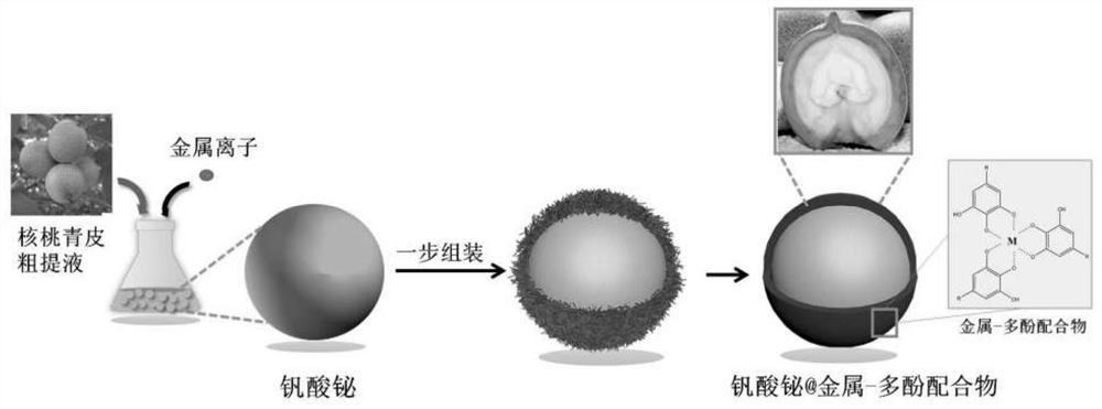 A preparation method of bismuth vanadate@metal-polyphenol complex core-shell structure composite material using crude walnut green bark extract