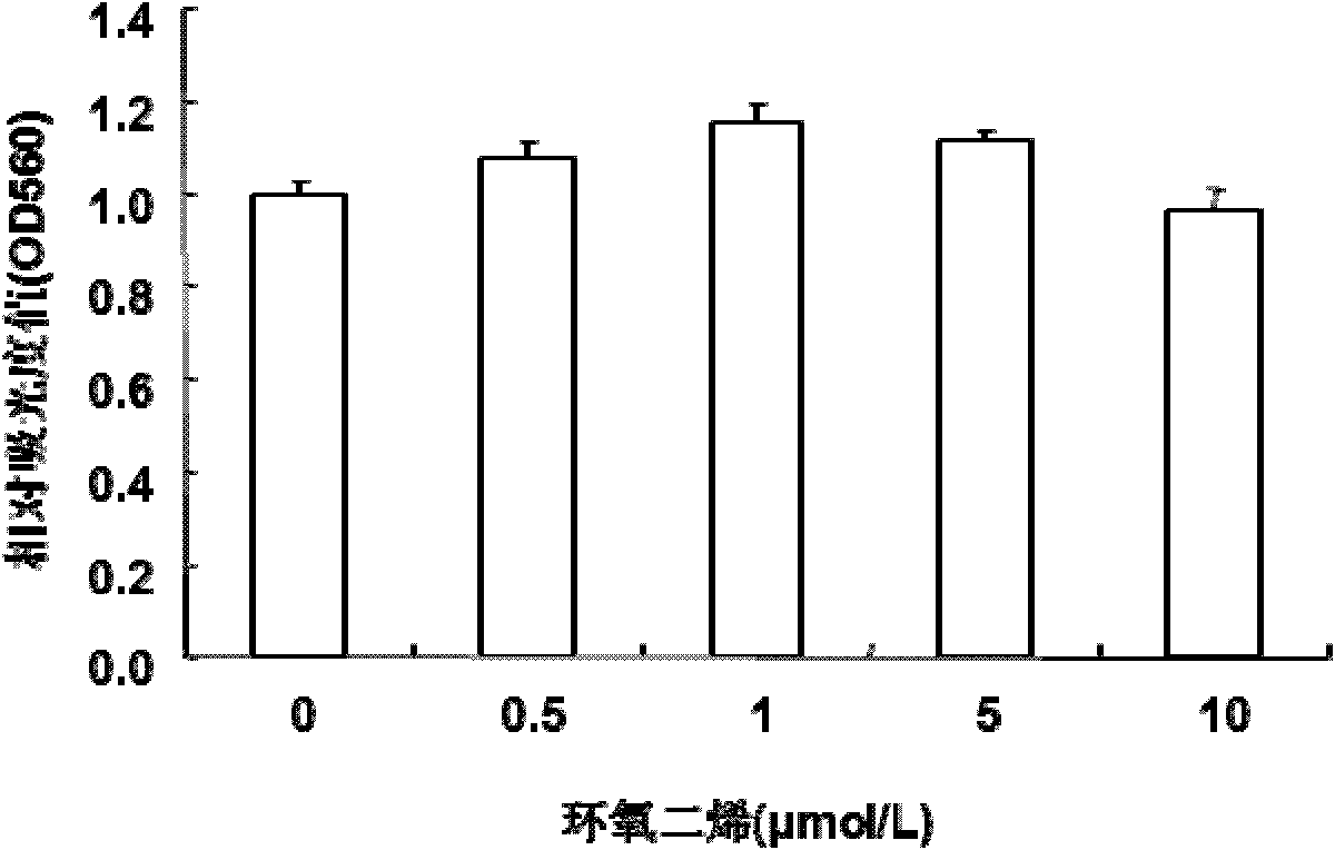 Application of epoxidized diene as osteoclast differentiation inhibitor