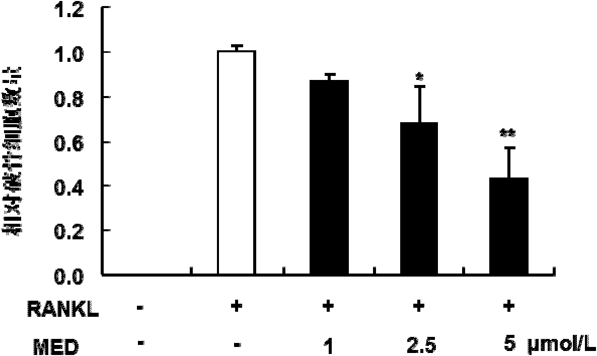 Application of epoxidized diene as osteoclast differentiation inhibitor