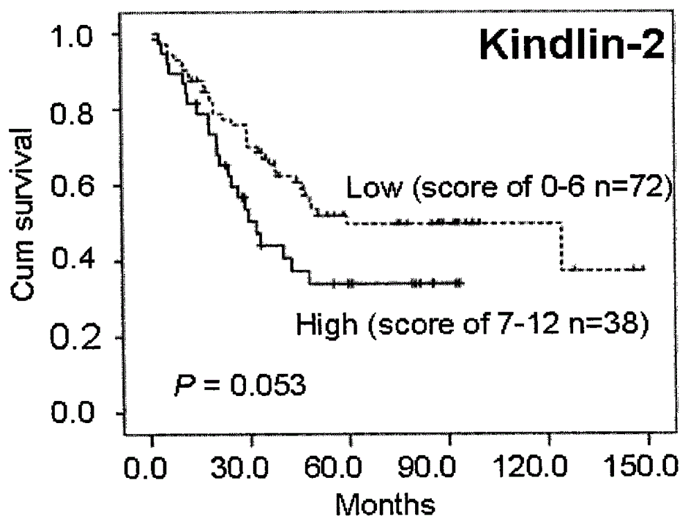 Kit integrating three proteins such as Kindlin-2, Myosin-9 and Annexin II for prognosis evaluation of patient suffering from esophageal squamous cell carcinoma