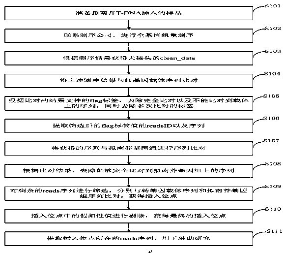 Method for positioning T-DNA insertion site by flag tag of sam file