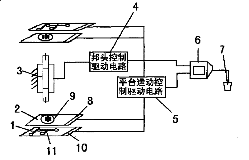 Die bonding method for automatic quartz alignment by image recognition