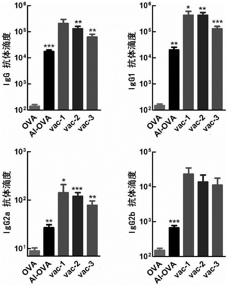 Short chain polypeptide, application thereof as vaccine adjuvant and vaccine with short chain polypeptide serving as adjuvant