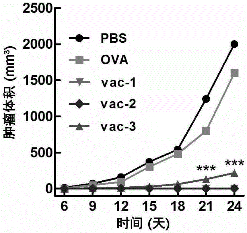 Short chain polypeptide, application thereof as vaccine adjuvant and vaccine with short chain polypeptide serving as adjuvant