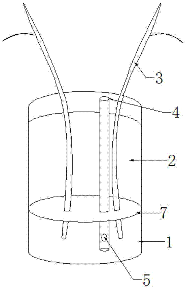 A kind of poplar breeding device and using method thereof