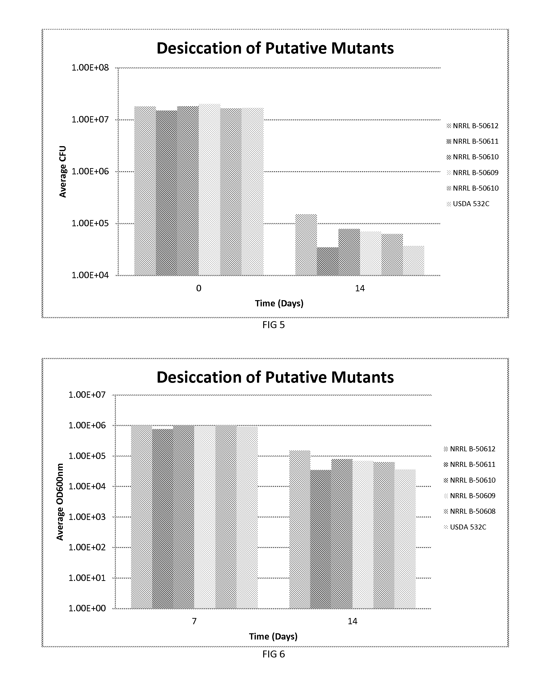 Bradyrhizobium strains