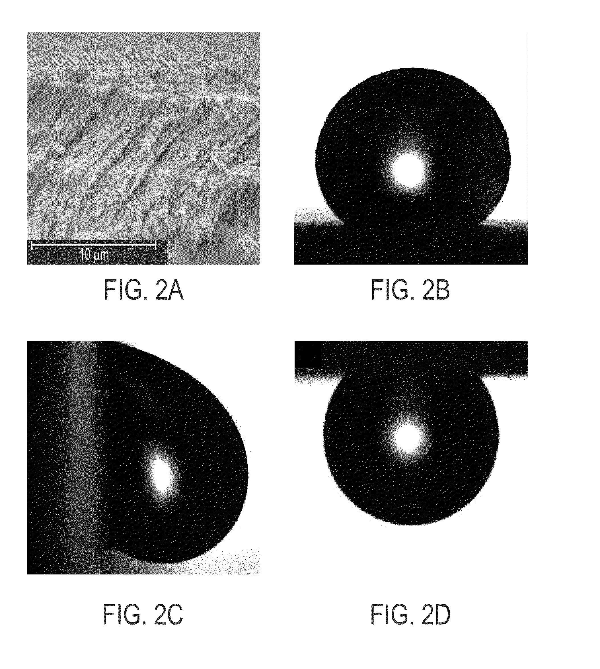 Hydrophobic nanostructured thin films