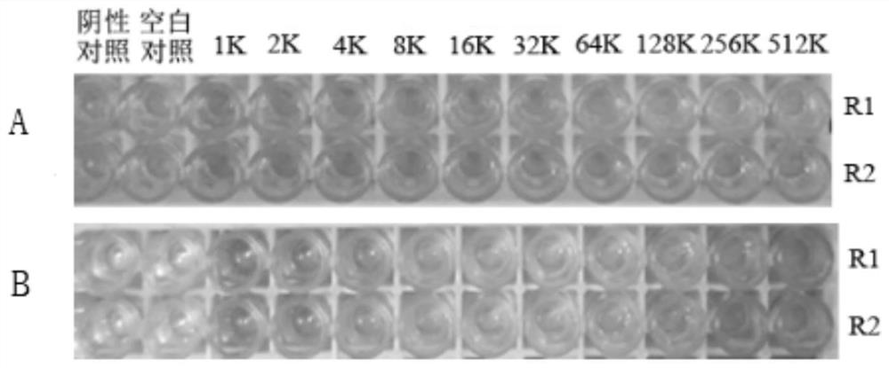 Gene, protein, polyclonal antibody and application of vitellogenin