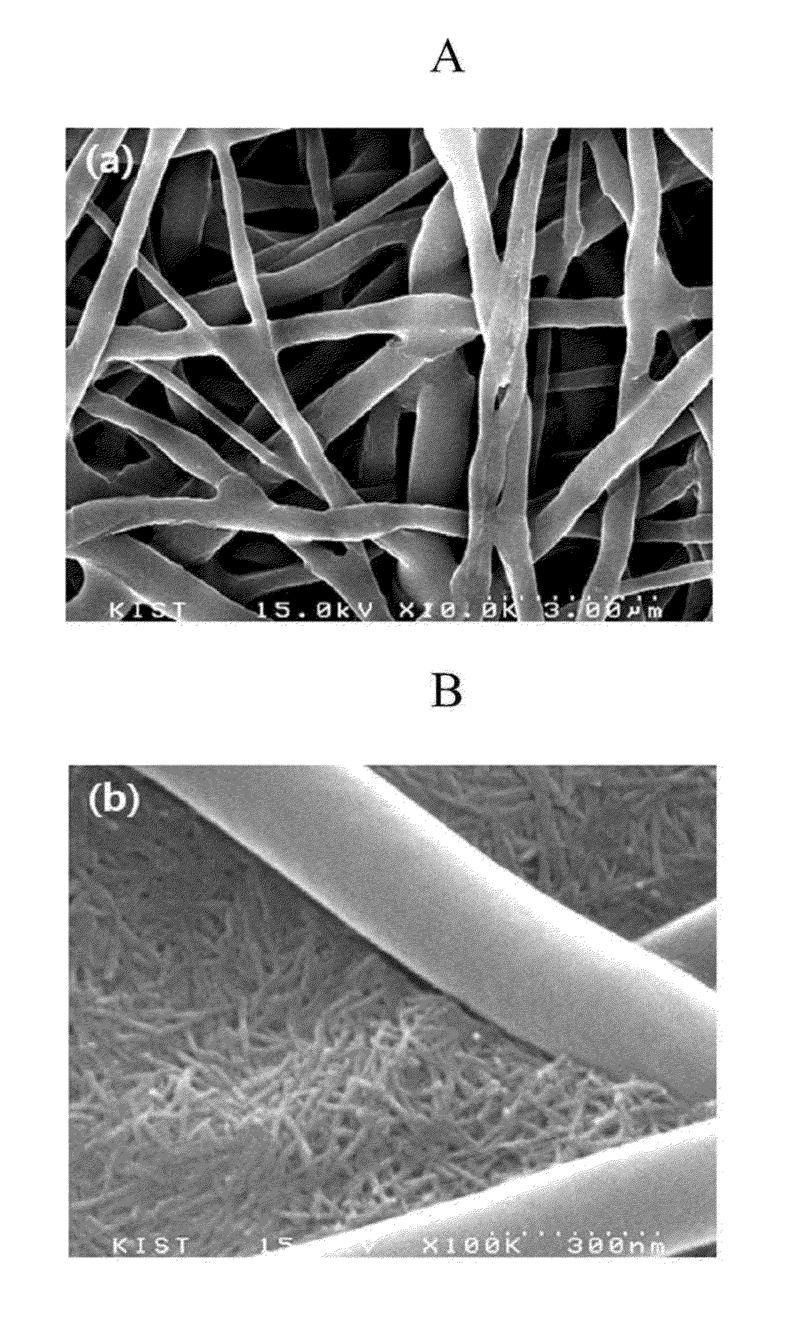 Fiber-based filter with nanonet layer and preparation method thereof