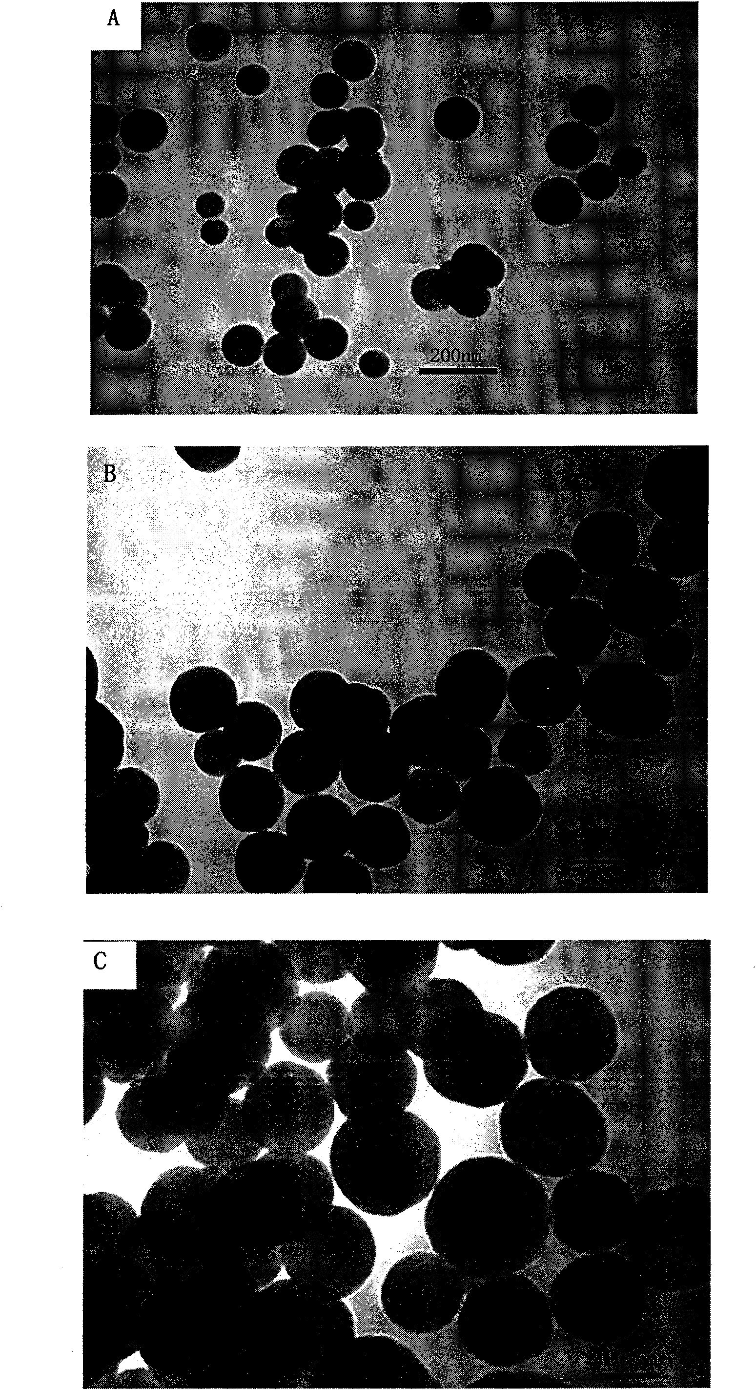 Fluorescent nanometer composite particle, preparation method and application thereof