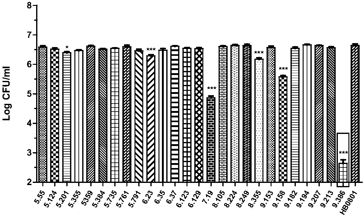 Mycoplasma bovis multifunctional protein CDNPase