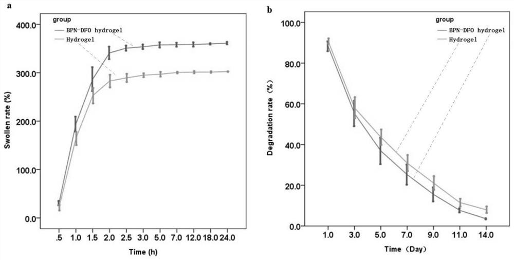 Preparation method and application of BPN-DFO gel scaffold