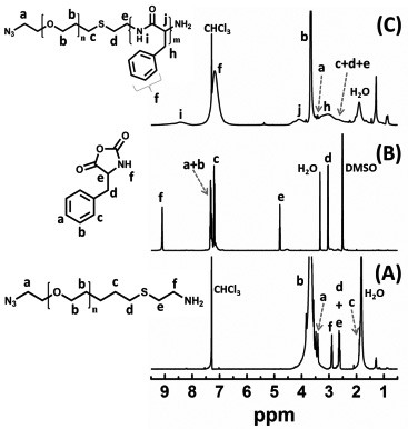 A mr imaging polymer micelle for transporting antibodies for tumor immunotherapy and its preparation method