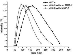 A mr imaging polymer micelle for transporting antibodies for tumor immunotherapy and its preparation method