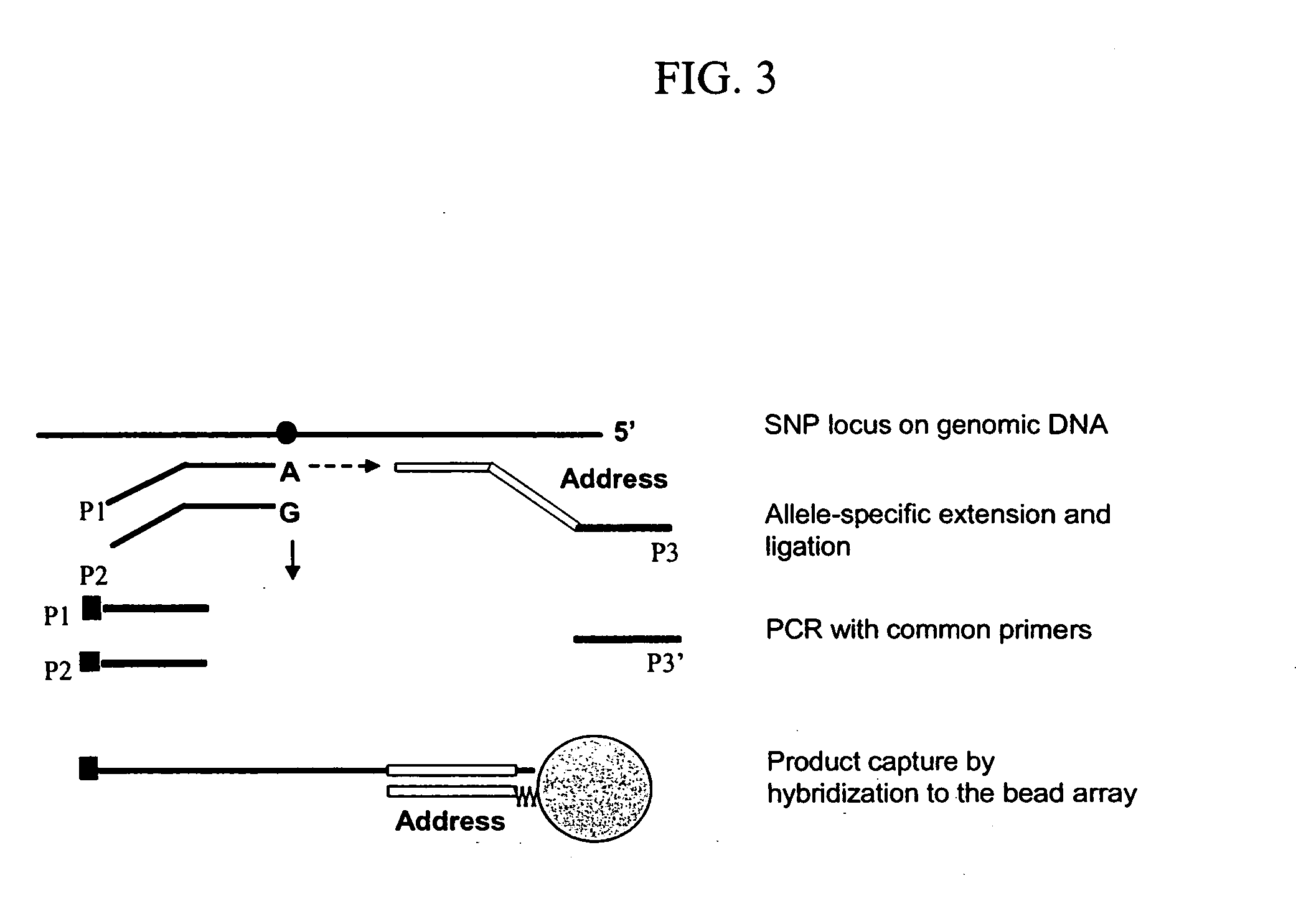 Methods and compositions for diagnosing conditions associated with specific DNA methylation patterns