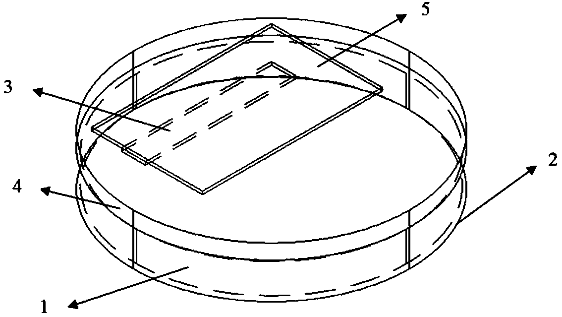 SiAlCN wireless passive temperature sensor loaded with patch antenna and preparation method