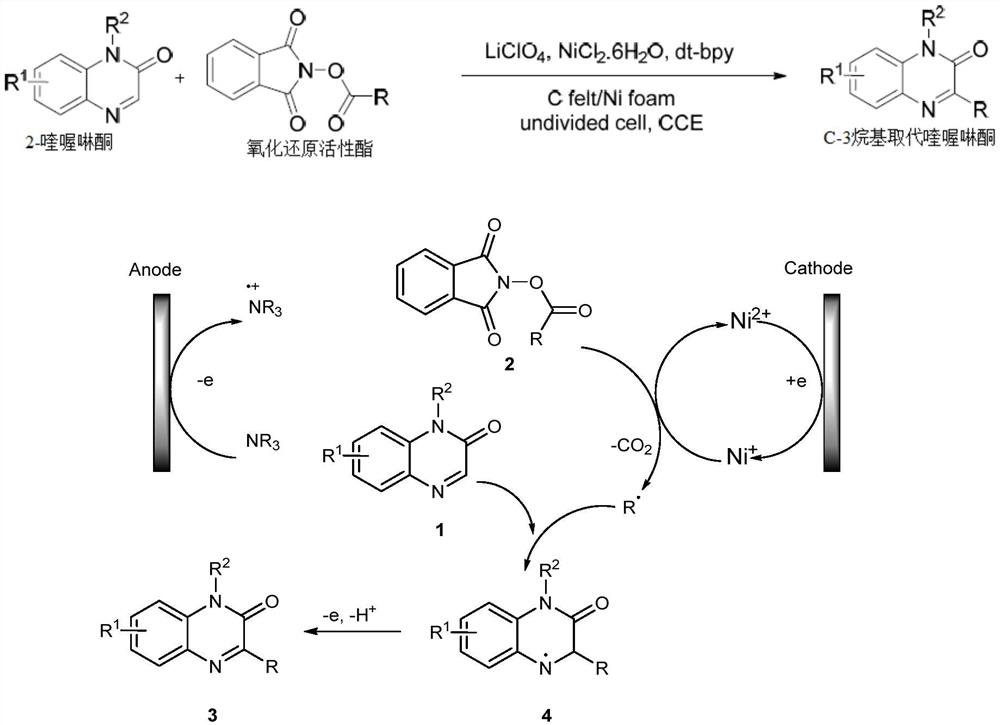 Synthesis method of C-3 alkyl substituted quinoxalinones catalyzed by nickel under electrochemical conditions