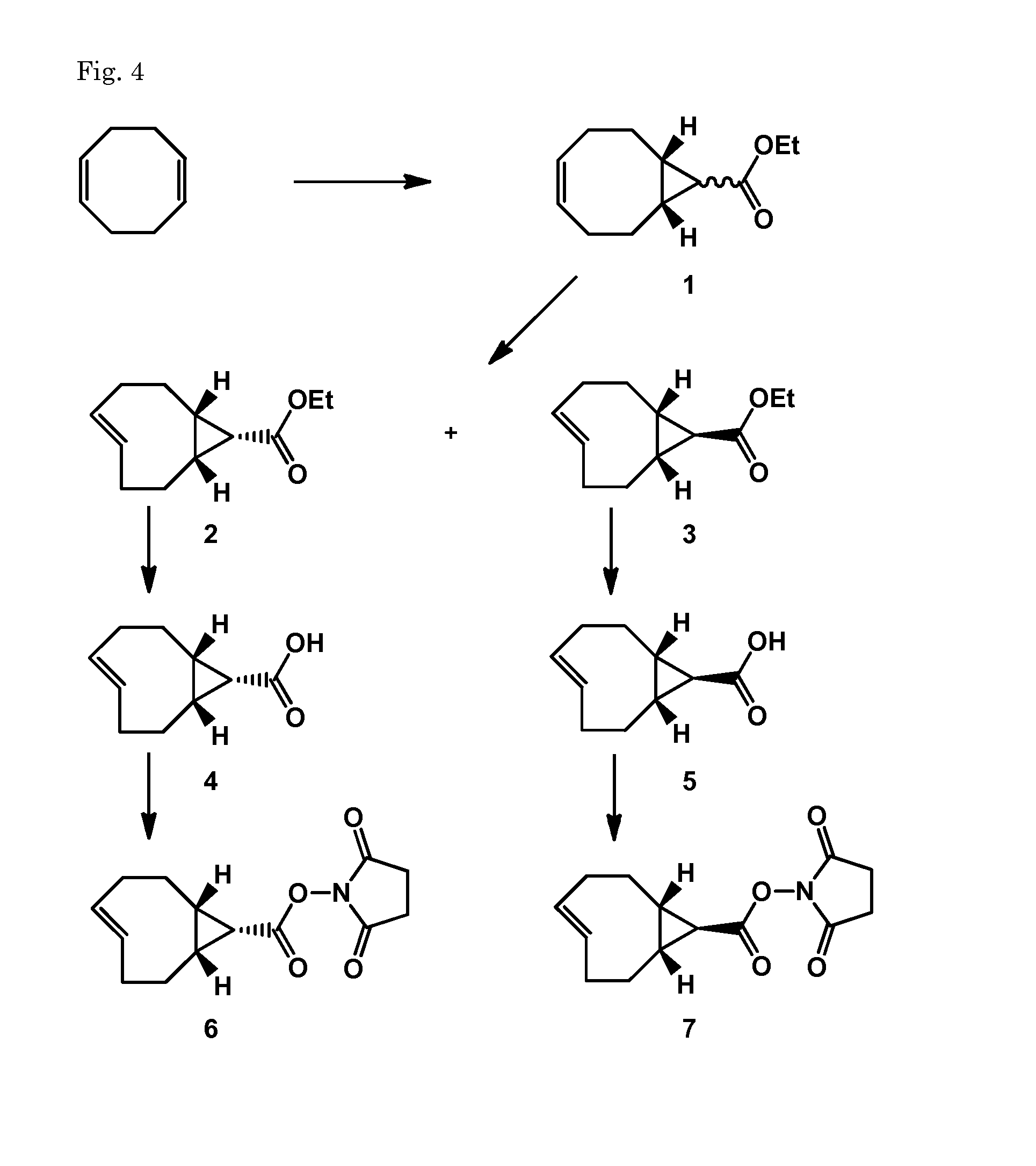 Pretargeting kit for imaging or therapy comprising a trans-cyclooctene dienophile and a diene