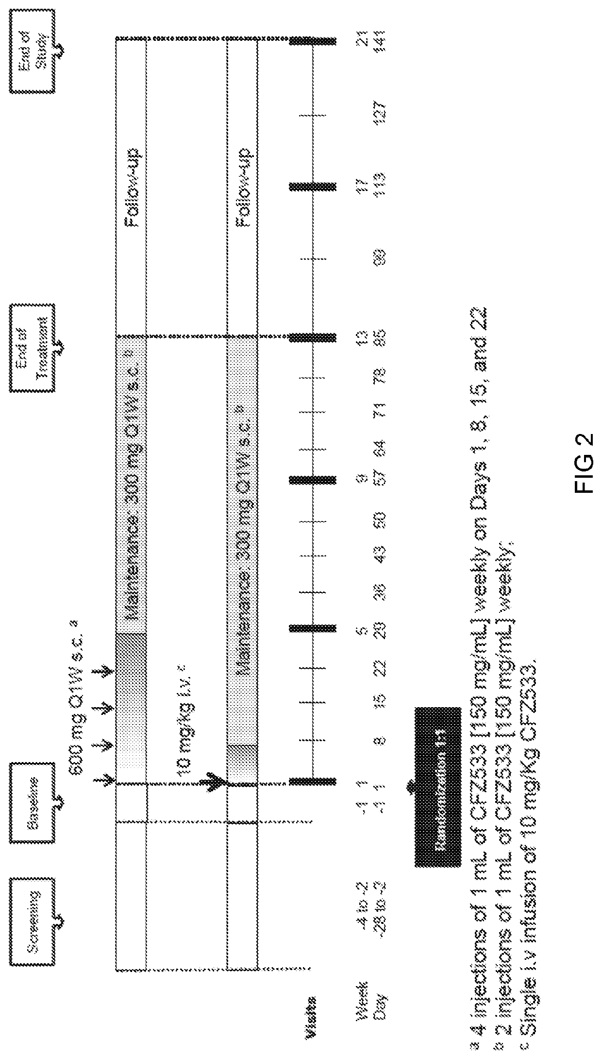 Anti-cd40 antibodies for use in prevention of graft rejection