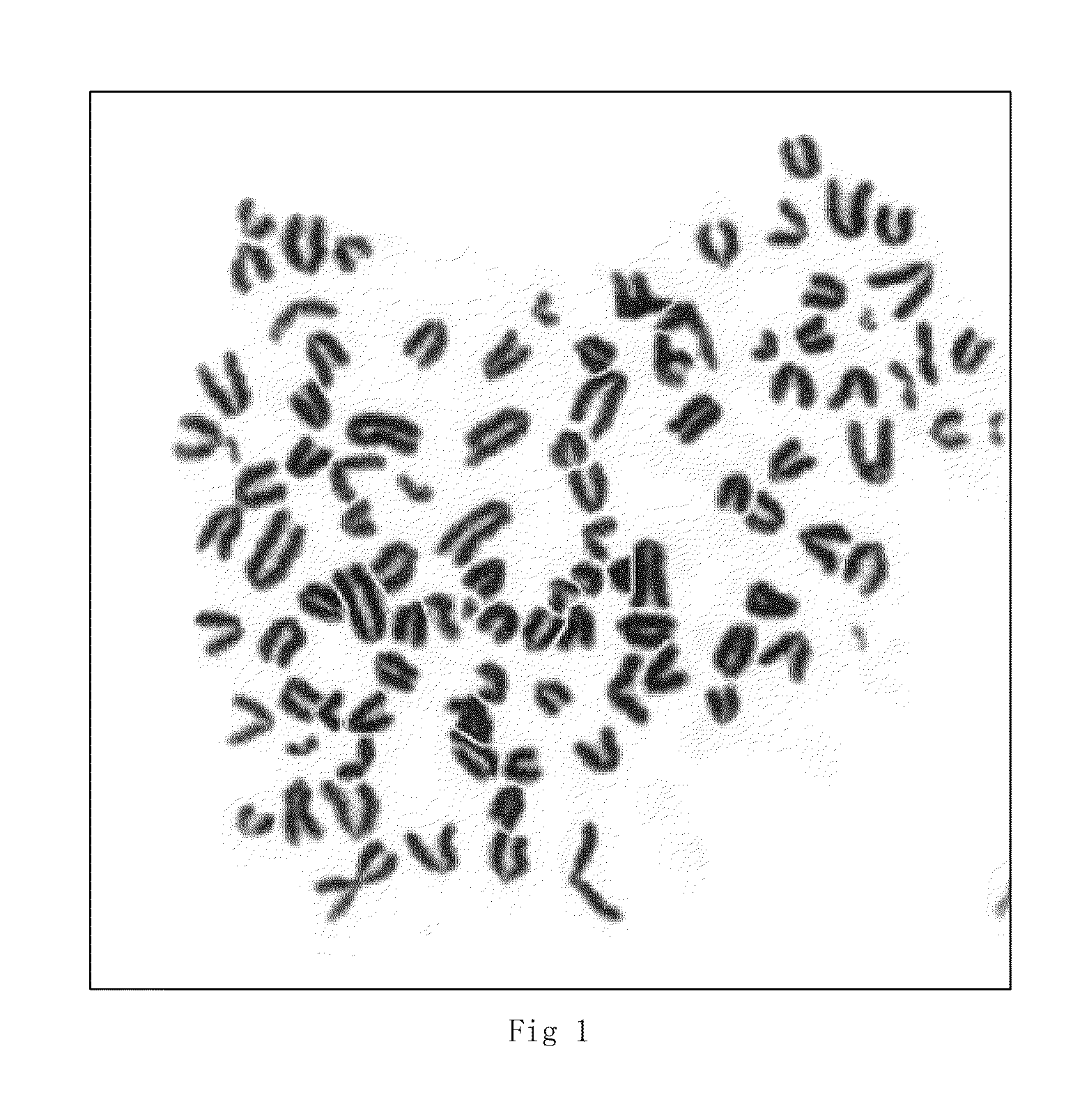 Monoclonal antibody against human non-small cell lung carcinoma and use thereof