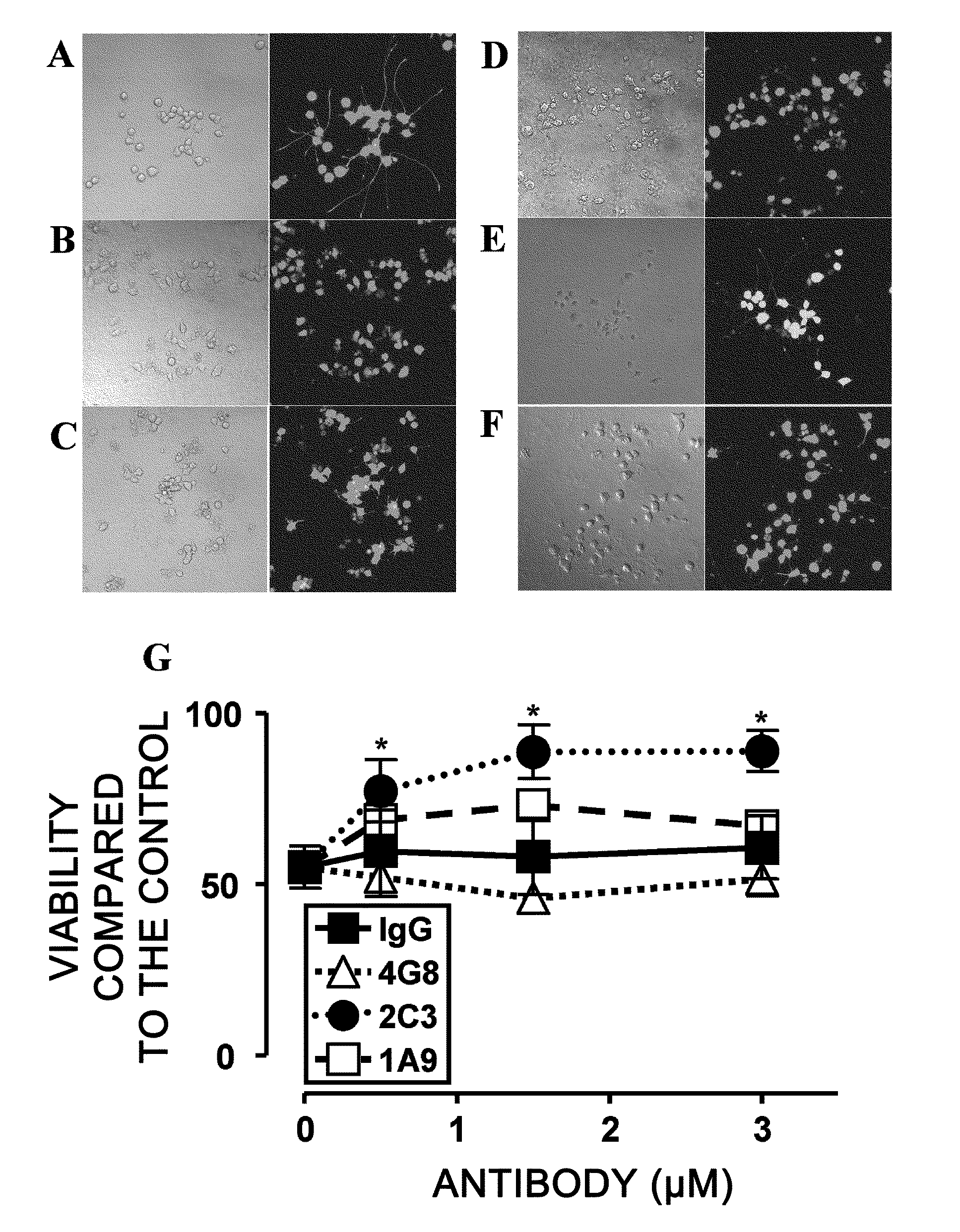 Antibodies That Specifically Bind to Abeta Oligomers and Uses Thereof